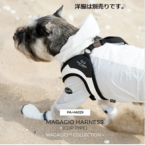 Amazon | 615パープル XL 犬用 PA HA029マガジオヴィヴィッド Amazon | 615パープル XL 犬用 PA HA029マガジオヴィヴィッド